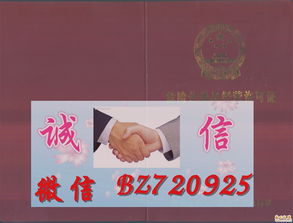 危險(xiǎn)化學(xué)品經(jīng)營許可證 安全經(jīng)營的基石與法規(guī)遵循